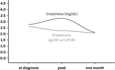 COVID-19 outcomes in patients with a history of immune-mediated glomerular diseases